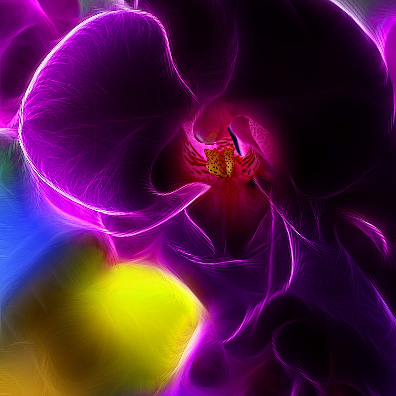 Orchidee fractal